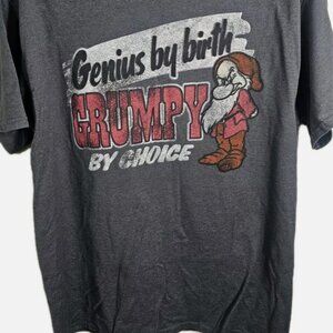 Disney Parks Grey Genius By Birth Grumpy By Choice Size XL Tshirt Seven Dwarfs